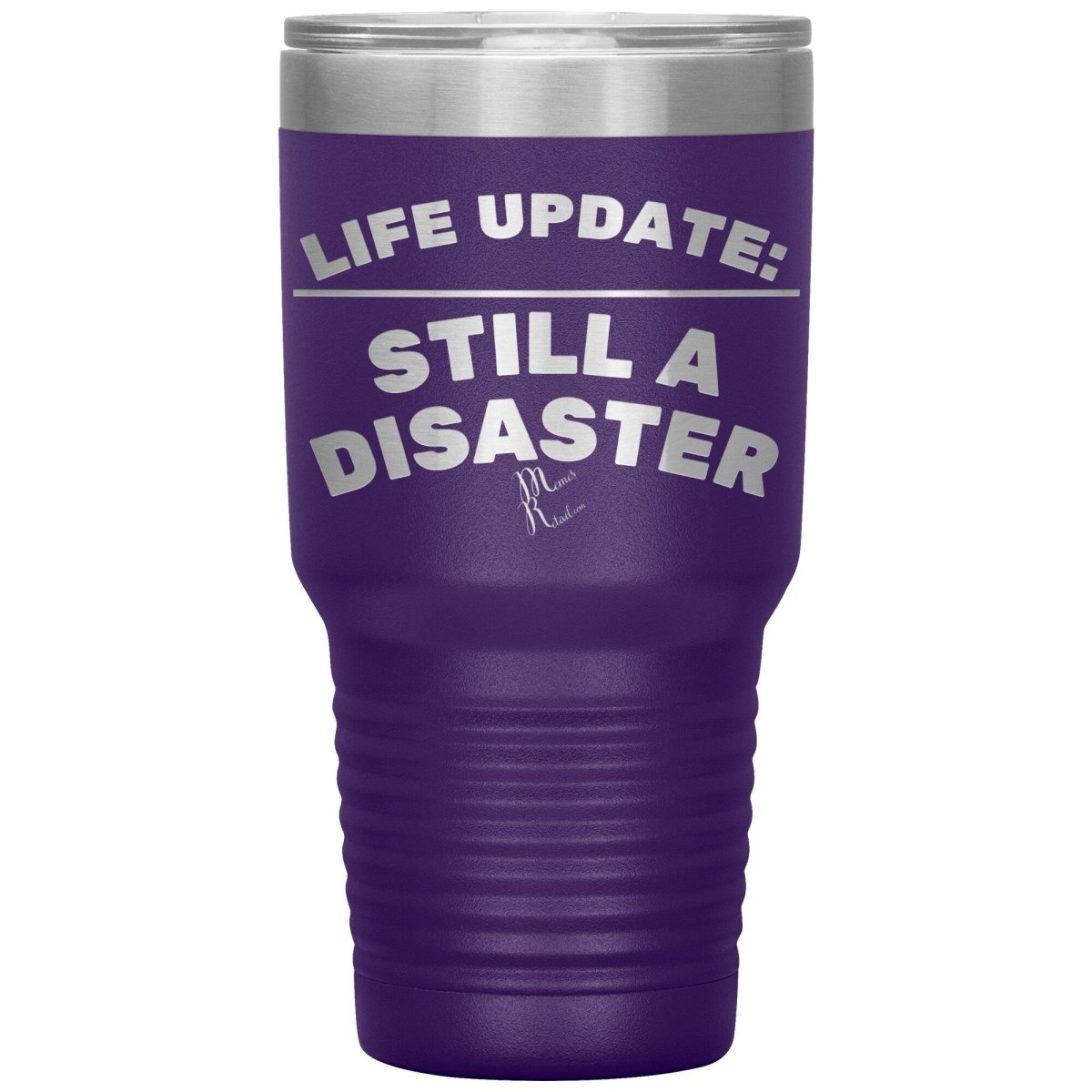 Life Update: Still A Disaster Tumblers, 30oz Insulated Tumbler / Purple - MemesRetail.com